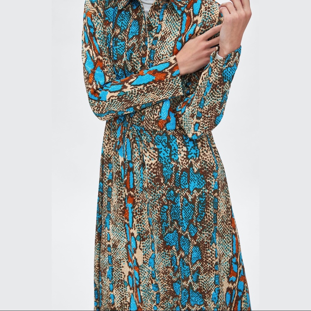 Zara Trafaluc Blue Snakeskin Dress
